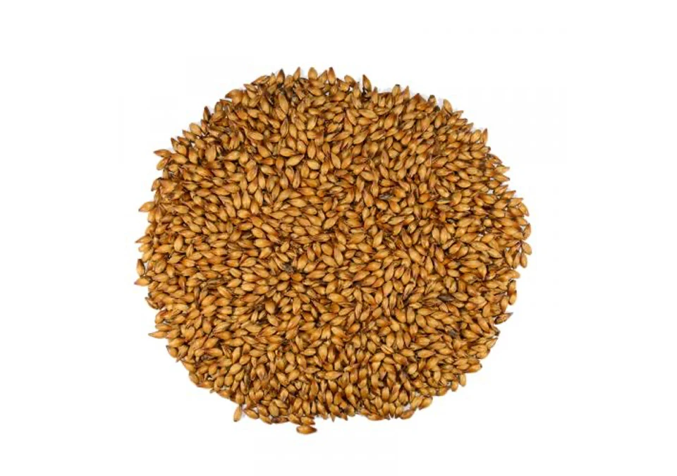 Dingemans Special B Malt 1kg Hel