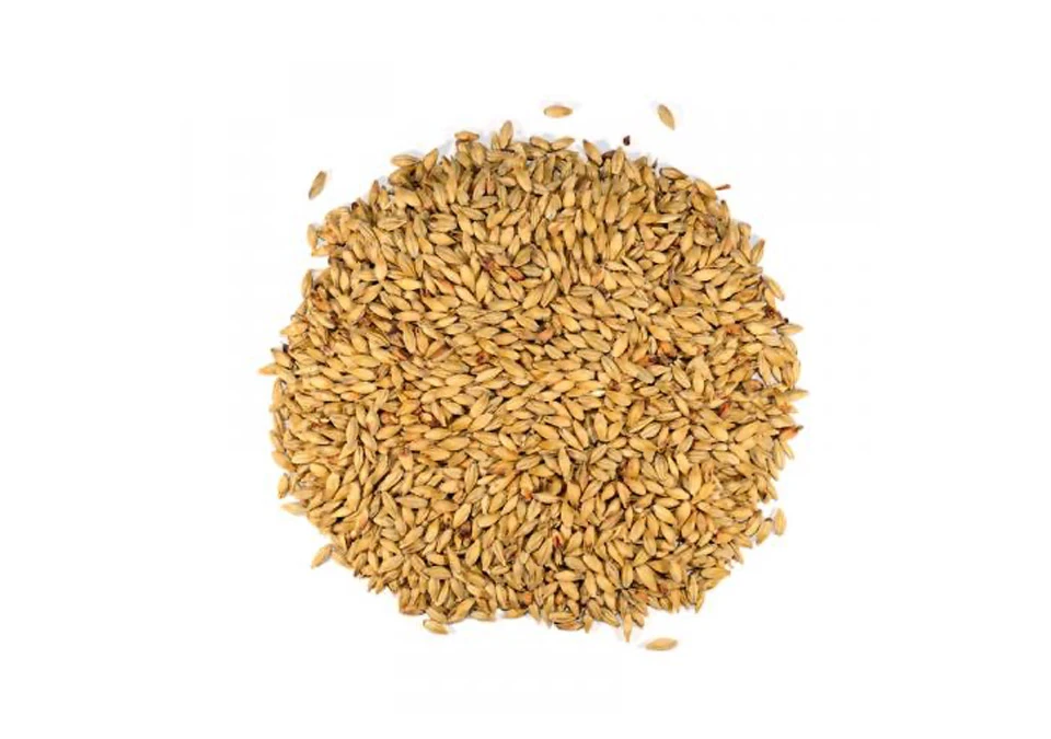 Dingemans Aromatic Malt 1kg Hel