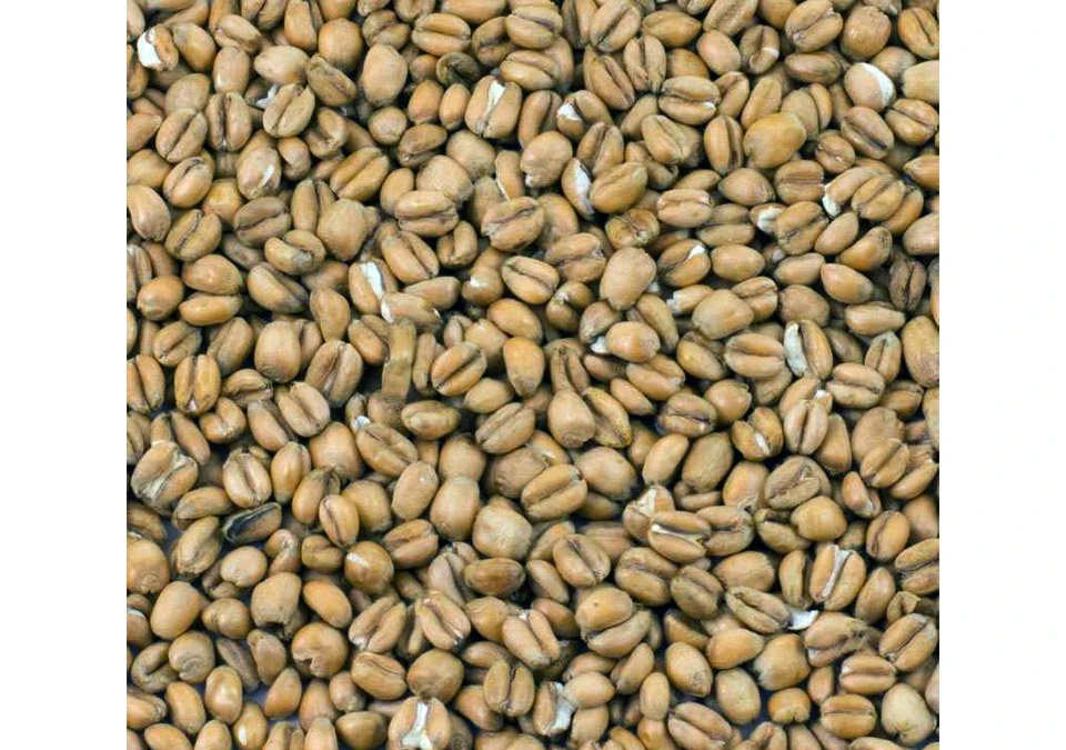Crisp Torrefied Wheat 1kg Whole