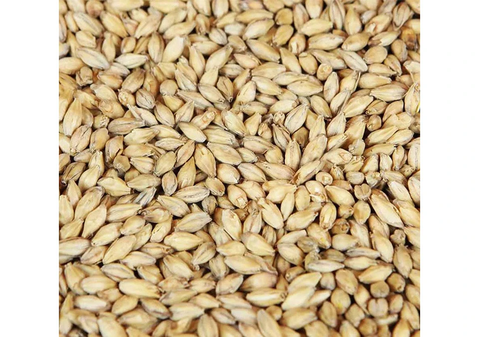 Weyermann Pilsner Malt 1kg Whole