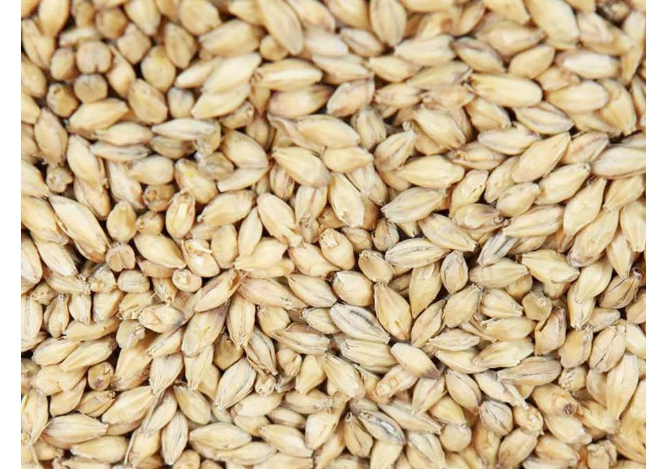 Weyermann Munich-2 Malt 1kg Hel