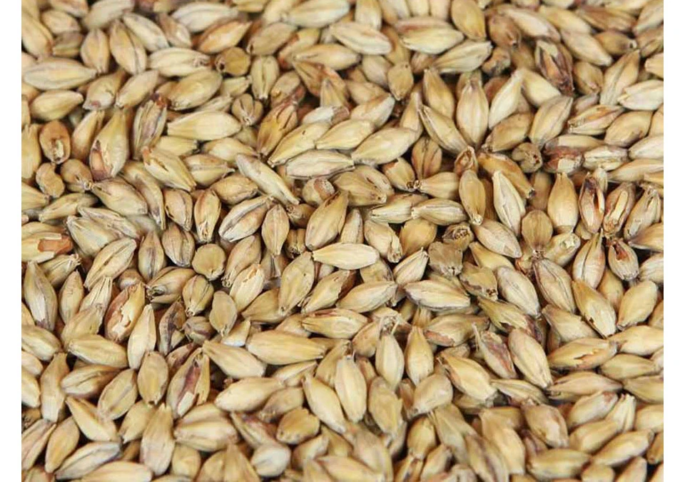 Weyermann Munich-2 Malt 1kg Whole
