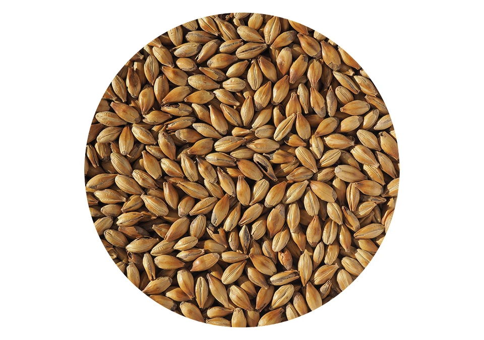Crisp Crystal 150 Malt 1kg Whole