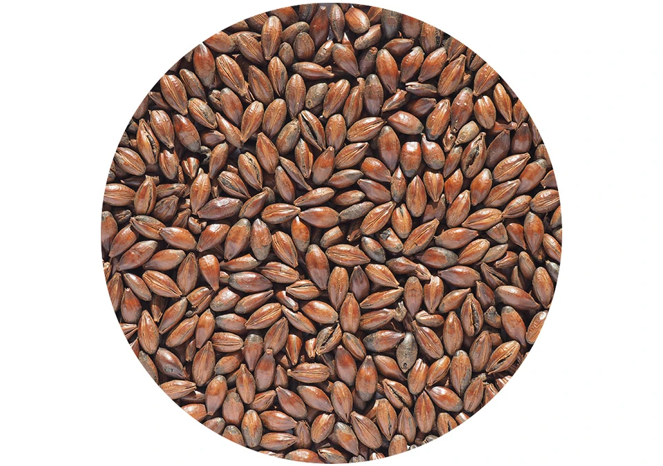 Crisp Chocolate Malt 250g Crushed